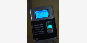 37394622927.JPG