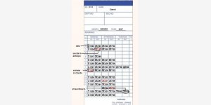 5333544CART-2.jpg