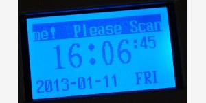 8145642535.JPG