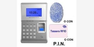 8308056svarduefp-small1.jpg