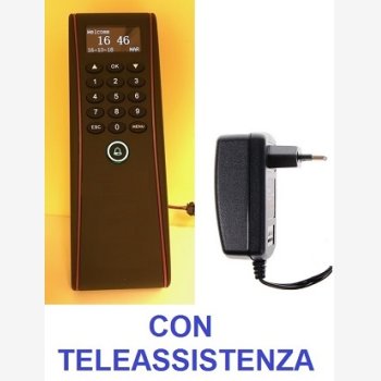 SISTEMA DI RILEVAZIONE PRESENZE MOD. 1951-RFID, PER ESTERNO (IP53), CON LETTORE RFID E CORSO DI ISTRUZIONE SOFTWARE IN TELEASSISTENZA PER 2 MESI